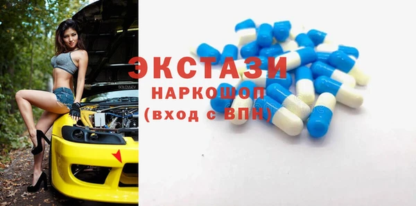 крисы Козельск