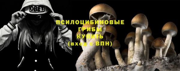 MDMA Premium VHQ Козловка