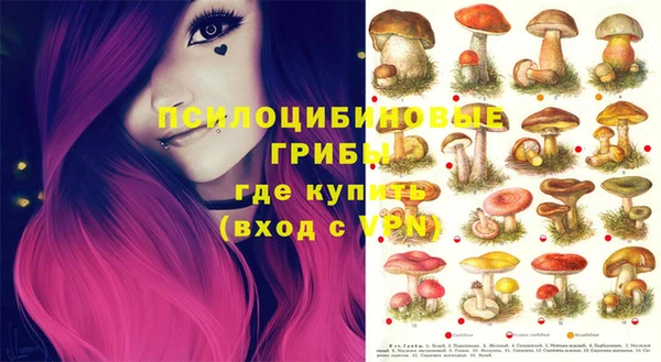 крисы Козельск