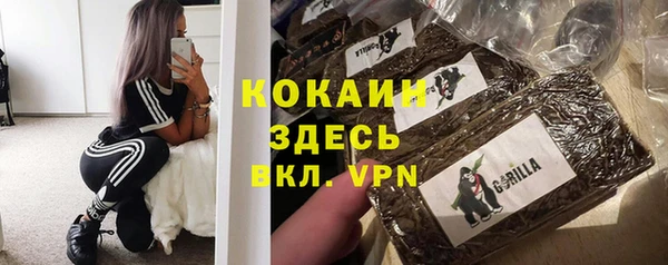 крисы Козельск