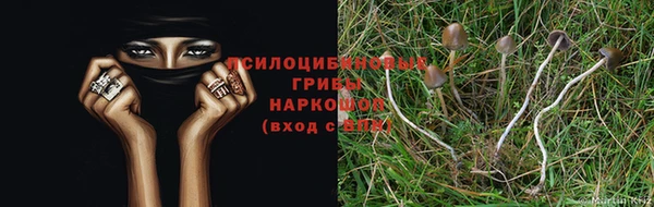 шишки Киреевск